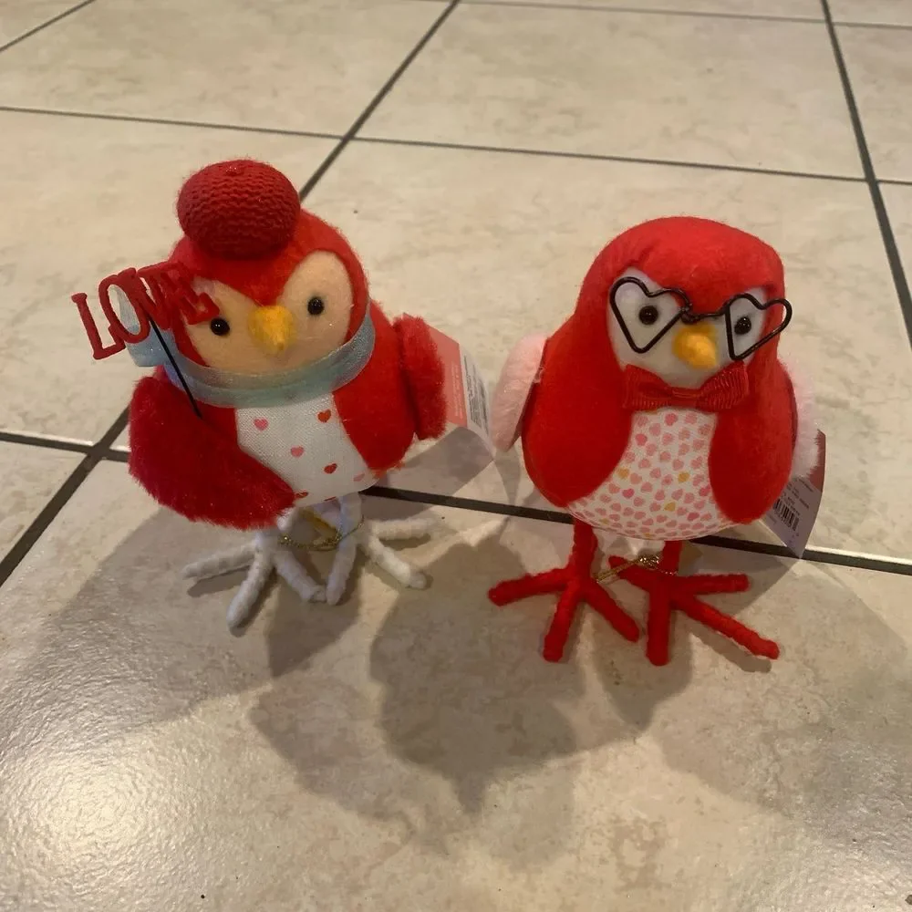Target Spritz Featherly Friends 2023 Valentine's Day Birds
